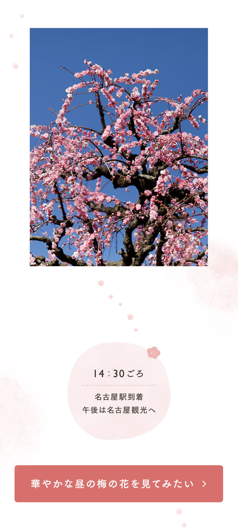 梅の花の香りに誘われて。幻想的なお花見 - 12