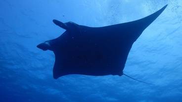 フィットネス設備 / 7