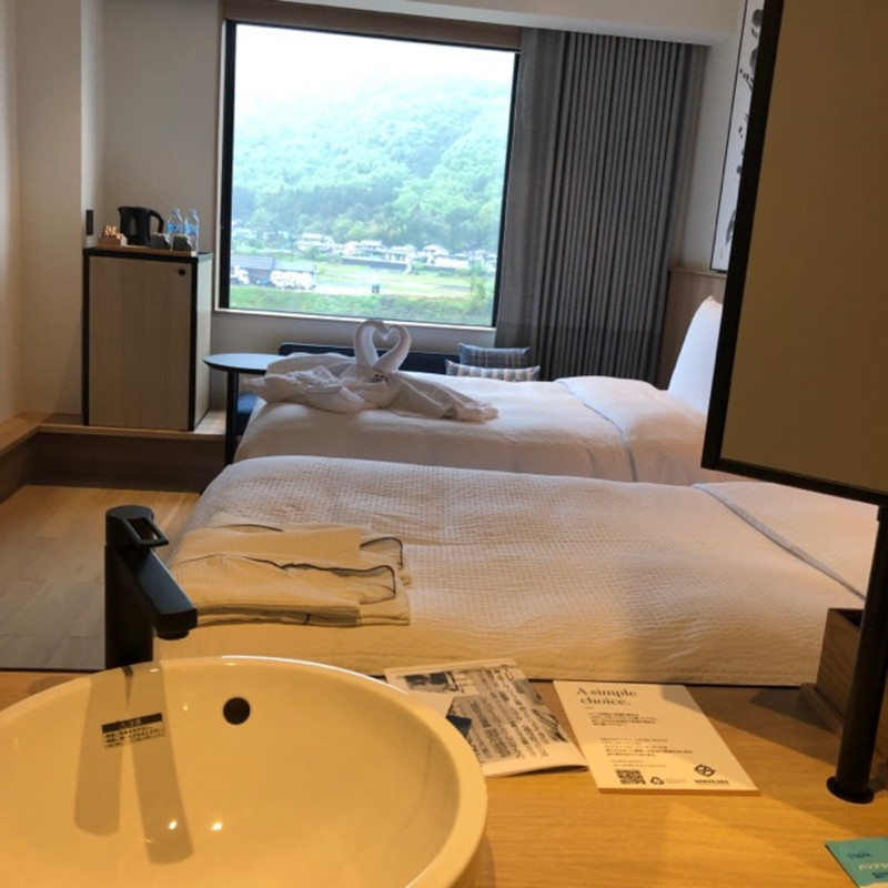 記念日に行ったので白鳥があります