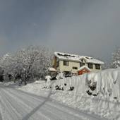 リゾートイン 大樹(新潟県 ペンション) / 3