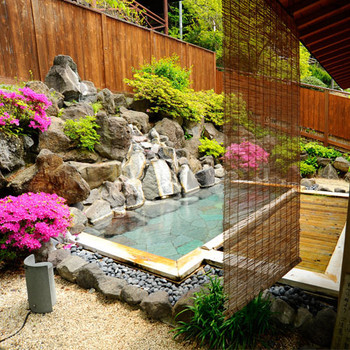 看板猫ちゃんと6つの貸切風呂が待っています3906917