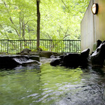 【群馬】東京から2時間以内の穴場温泉でほっこり。隠れた名湯「湯檜曽」の旅館5選