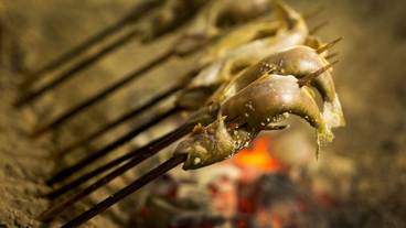 食事・飲み物 / 11