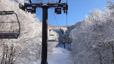 観光スポット / 10