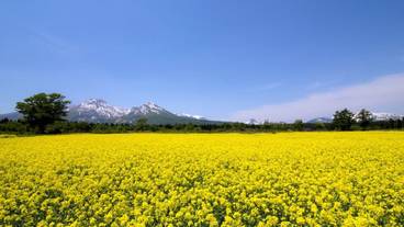 観光スポット / 2