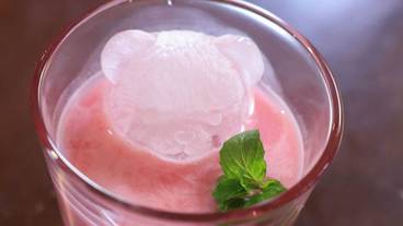 食事・飲み物 / 13