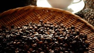 レストラン / 17