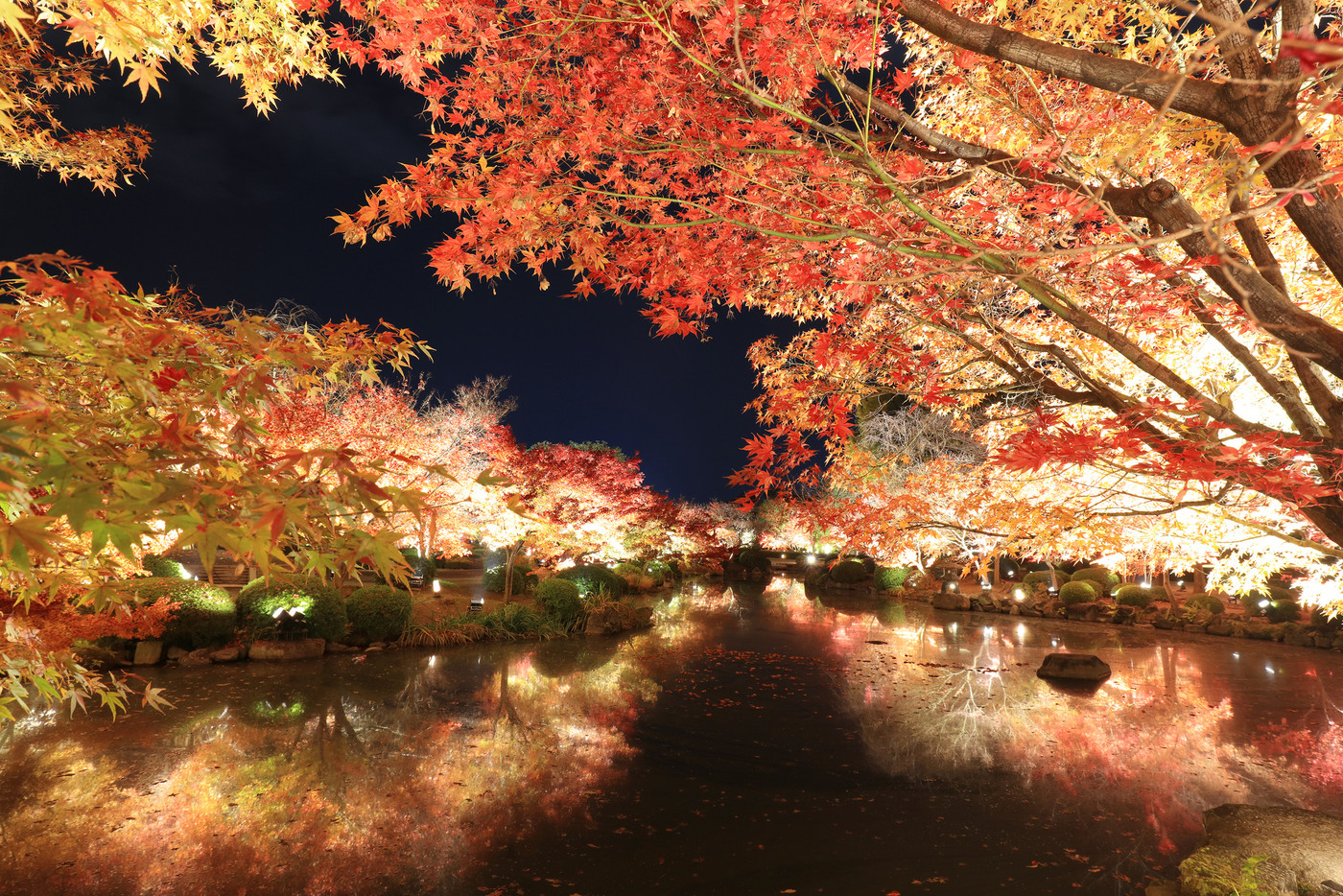 幻想的な光景に心満たされる、五重塔と紅葉の競演1947821