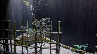 部屋からの景観 / 24