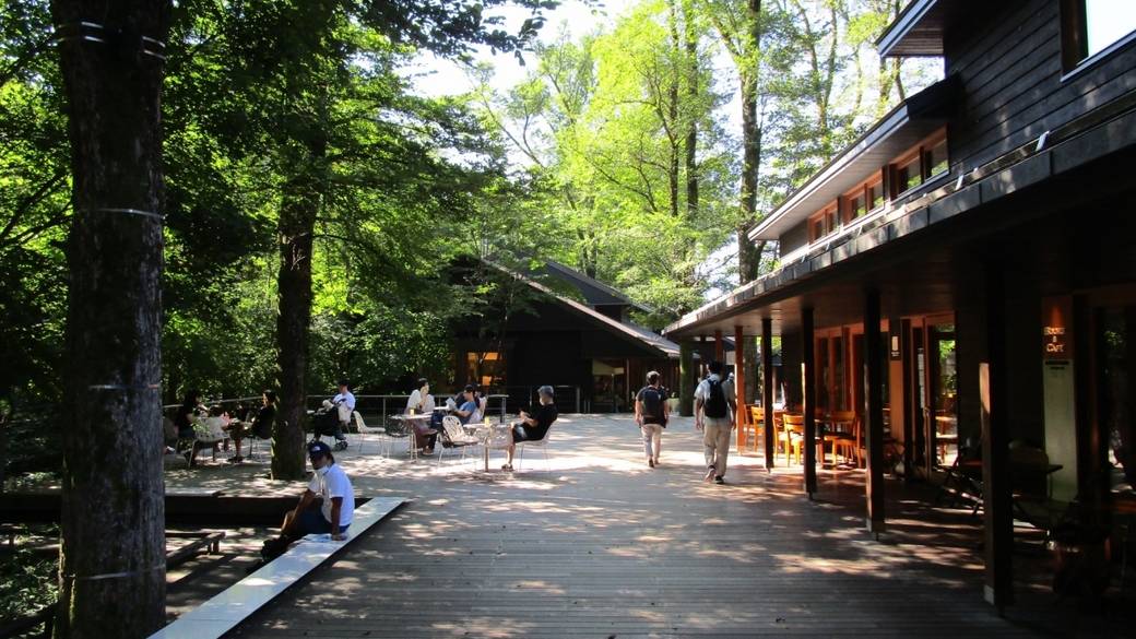 癒しのスポット
「ハルニレテラス」へ / 1