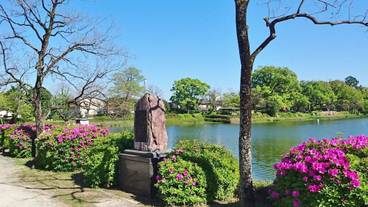 ランド ビュー / 39