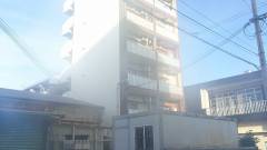 HOTEL Mr.KINJO GOLDEN CATS