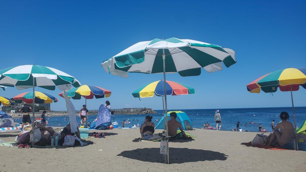 erico_kanamoriさんの写真 / 1