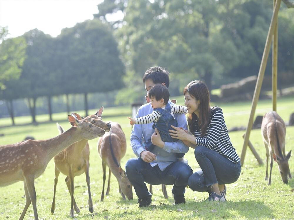 子供用の遊び場 - 屋外