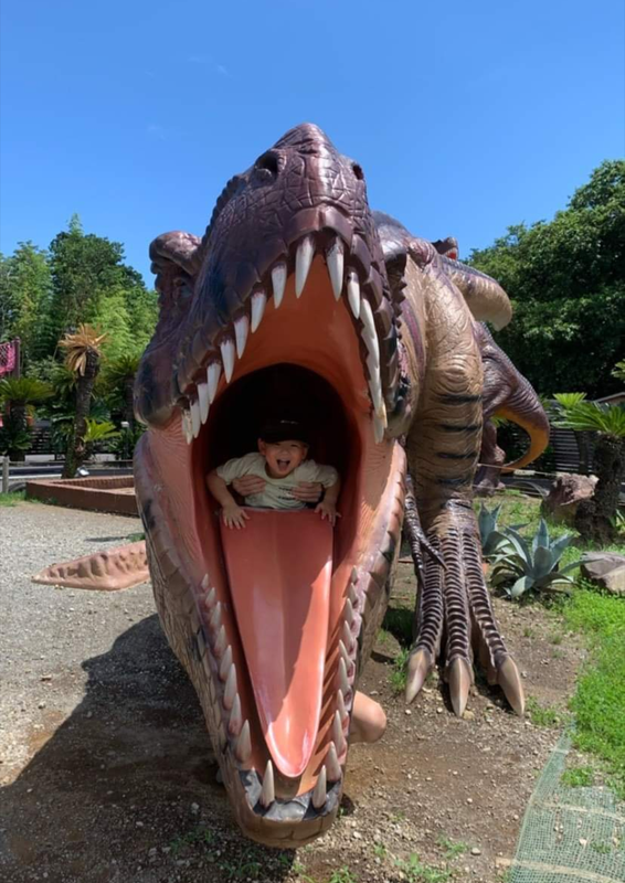 rintaku__さんの写真 / 1