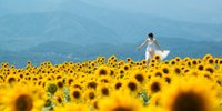 落ち込んだ時に見に行きたい。心が晴れる『夏の絶景』7選