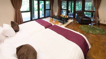 部屋からの景観 / 37