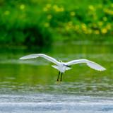 爽やかな朝の清流に
心もリフレッシュ / 1