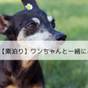 【素泊まり】大切なご家族であるワンちゃんと一緒にご宿泊できるプラン | 神戸 ホテル フルーツ フラワー