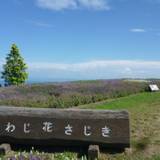 あわじ花さじき（アワジハナサジキ）