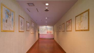 内装の詳細 / 11