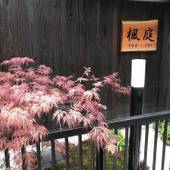 楓庭（京都府 コテージ・ロッジ・一棟貸） / 3