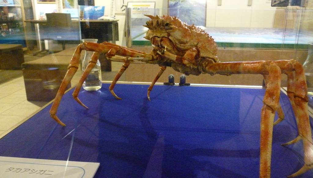 道の駅くるら戸田 / 3