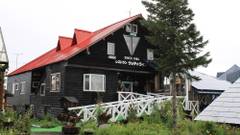 ウッディ・ライフ