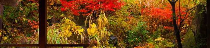 自然豊かな蓼科へ2人旅♪カップルにおすすめのホテル＆旅館7選【長野県】