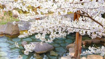 施設の敷地 / 11