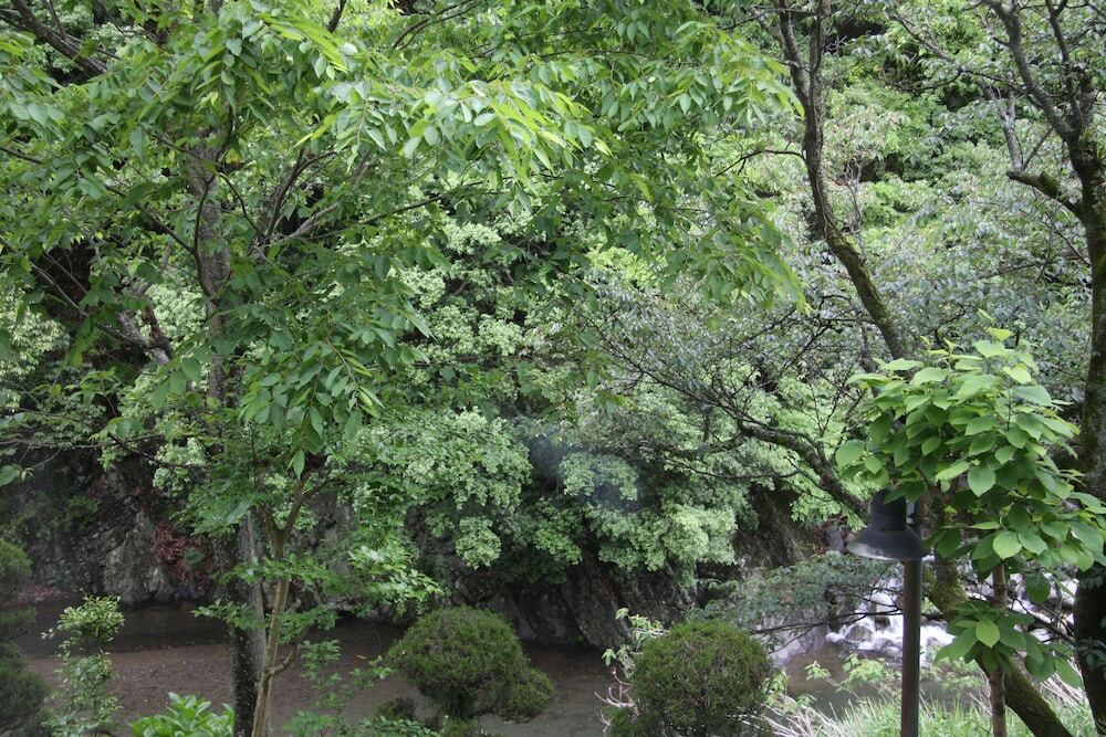 マウンテン ビュー