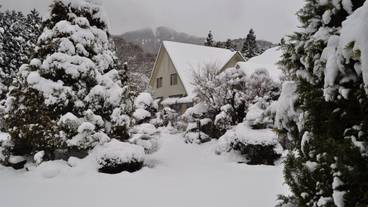 スノー スポーツとスキー / 6