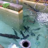 散歩カフェ（サンポカフェ）