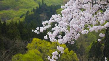 ハイキング / 13