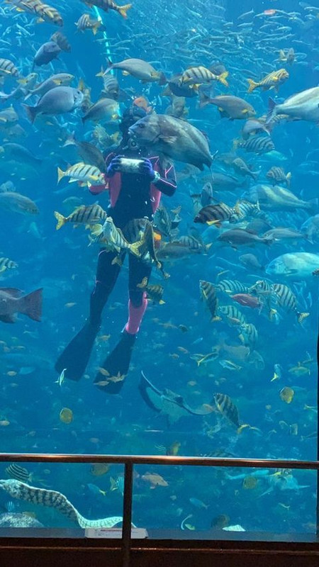 nobu05_okawaさんの写真 / 3