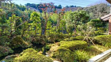 施設からの眺望 / 17