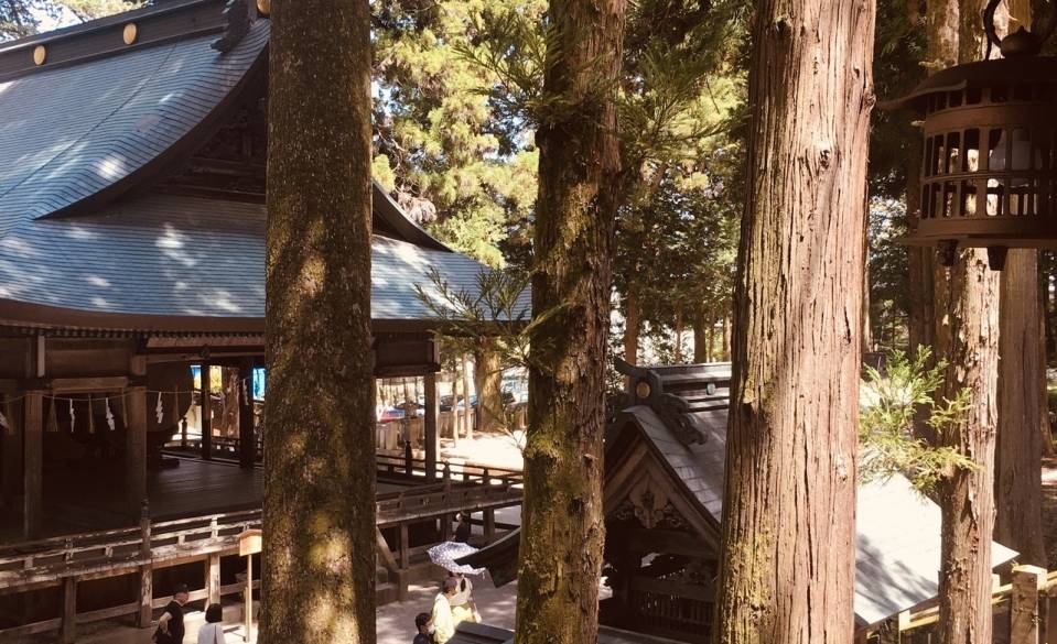 厳かな空気に
身が引き締まる / 2