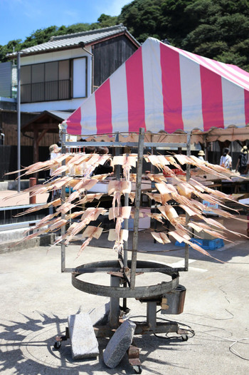 呼子朝市・いかぐるぐる