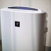 アートホテル宮崎 スカイタワー（宮崎県 ビジネスホテル） / 5