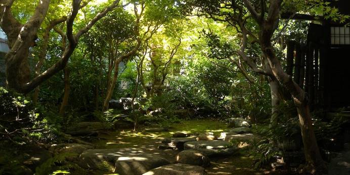 ゲストハウス 鯉屋（京都府 ゲストハウス・ホステル・ドミトリー） / 1