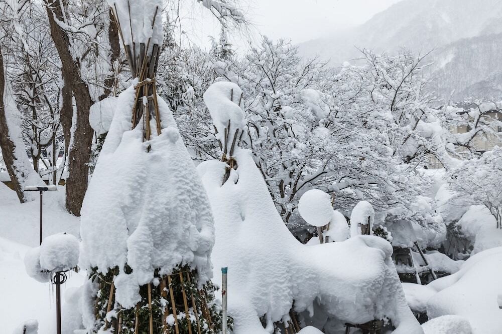 施設からの眺望