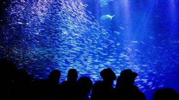 観光スポット / 12