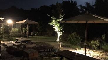 バーベキュー / ピクニック エリア / 15