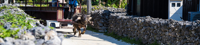 マンネリ日々から脱出！竹富島で島暮らし体験ができる民宿・ゲストハウス6選