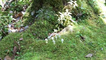 施設からの眺望 / 10