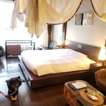 「愛犬お宿 伊豆高原」 その他 186022479 