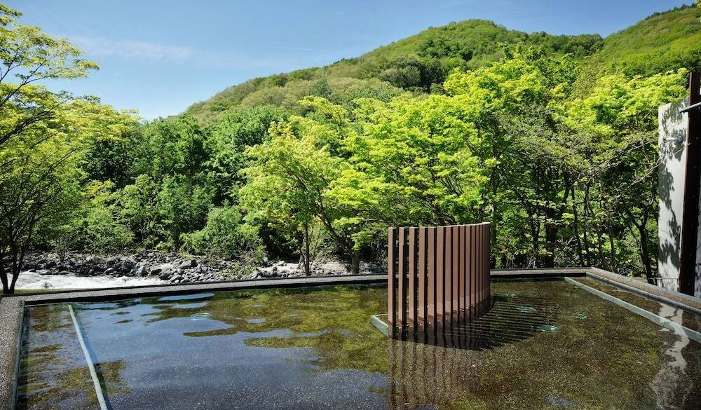 渓流露天風呂 / 1