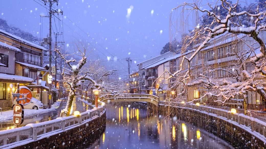 大谿川沿いに柳並木が連なる / 1