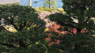 施設からの眺望 / 19