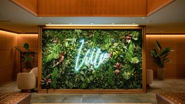 建物のデザイン / 11